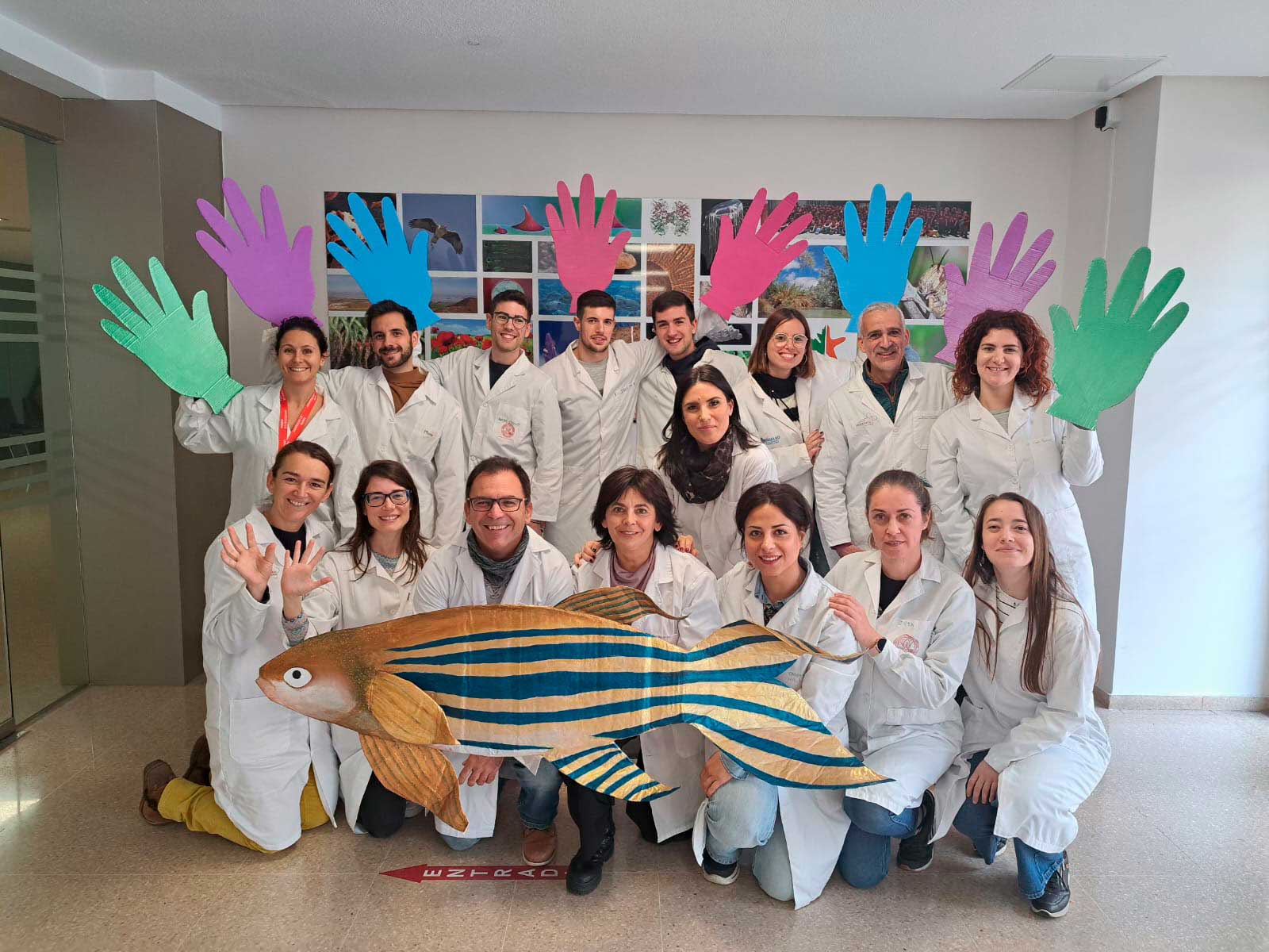 Blísteres y cápsulas para el artículo sobre reposicionamiento de fármacos