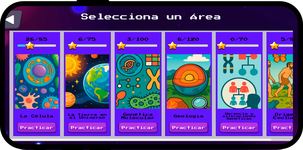 Detalle de estrellas y progreso por categoría